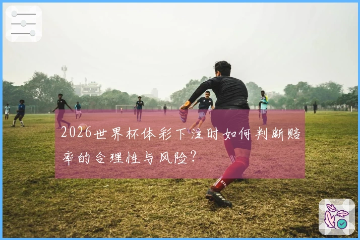 2026世界杯体彩下注时如何判断赔率的合理性与风险？